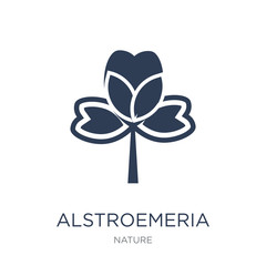 Alstroemeria icon. Trendy flat vector Alstroemeria icon on white background from nature collection