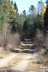 Portage, caution, Minnesota, rapids, Fall, trees, autum, trail