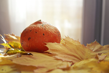 Closeup of mini pumpkins and yellow leaves