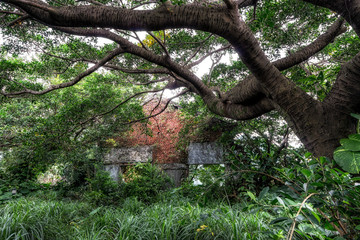Jinguashi old abandoned building