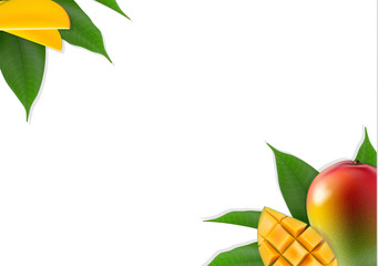 Fototapeta na wymiar Mango leaves background isolated on white. Realistic mango. Good for banner, poster, ad. Vector