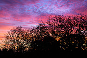 Obraz na płótnie Canvas Sunset and trees
