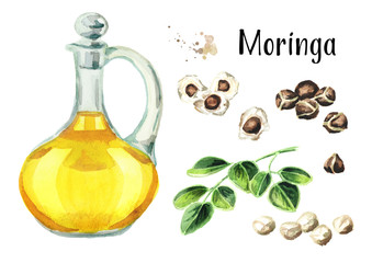 Moringa or Behen Oil set. Watercolor hand drawn illustration, isolated on white background