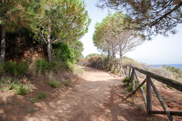 Beaten track along the coastline, Marina di Camerota, Italy 