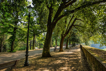 Walking along the tree lined walls in Lucca, Tuscany, Italy - obrazy, fototapety, plakaty