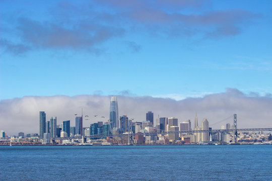 View of San Francisco Skyline on a Foggy Day