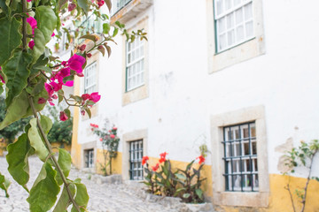 Fototapeta premium kolorowy dom z kwiatami w średniowiecznej wiosce obidos w portugalii
