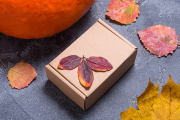 Carton gift box, autumn concept