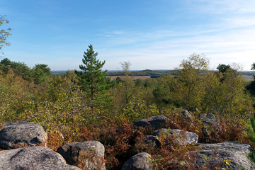 Grands Avaux forest panorama in the French Gâtinais regional nature park