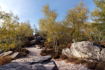 Rocks and white sand in the Grands Avaux forest