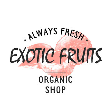 Vintage style shop label, badge, emblem, logo with hand drawn sketch of lychees fruit. Colorful graphic art with engraved design element in monochrome isolated on white background.