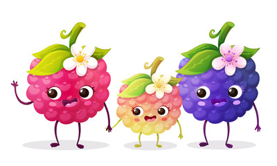 Cute blackberry and raspberry cartoon characters smiling with leaves and flower. Fruit family with kid. Vector illustration isolated on white background.