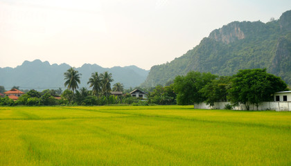 Thaïlande 