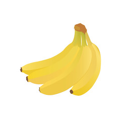 bunch of bananas vector