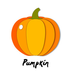 Vector paper cut orange pumpkin, cut shapes. 3D abstract paper art style, origami concept design, food packaging, advertising, detox, cosmetics, healthy eating.