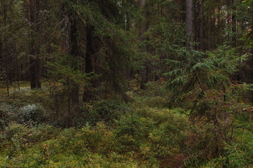 The breath of autumn