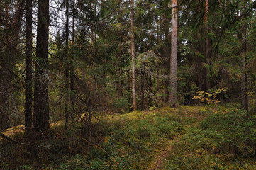 The breath of autumn