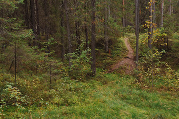 The breath of autumn