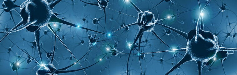 Active nerve cells - obrazy, fototapety, plakaty