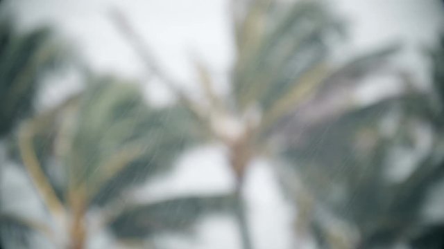 Soft Focus Background of Rain Falling In Tropical Storm