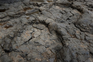 Dinosaurierspuren Asturien, Spanien