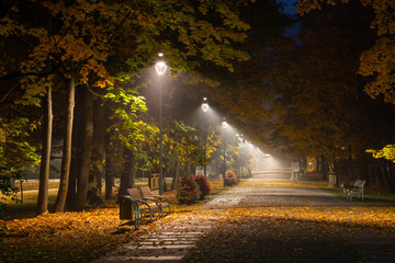 Autumnal alley in the park at night in Konstancin Jeziorna, Mazowieckie, Poland - 229965399