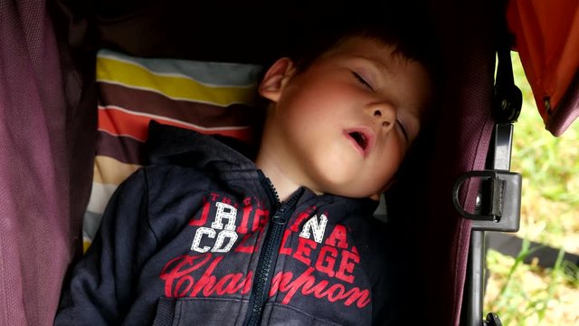 Little child boy sleeping in buggy outdoors in a park