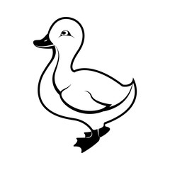 Vector image of duck. Duckling silhouette