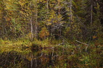 The breath of autumn