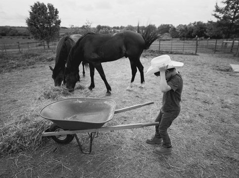 summertime at the horse ranch
