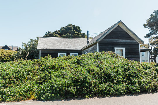 House behind large hedge.