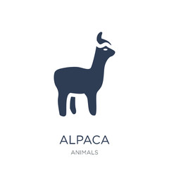 Alpaca icon. Trendy flat vector Alpaca icon on white background from animals collection