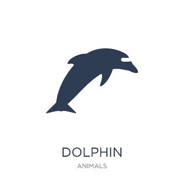 Dolphin icon. Trendy flat vector Dolphin icon on white background from animals collection