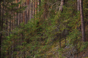 The breath of autumn