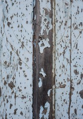 wood texture