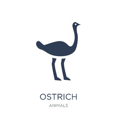Ostrich icon. Trendy flat vector Ostrich icon on white background from animals collection