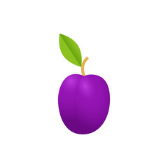 plum prunes icon vector