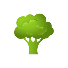 Broccoli flat vector