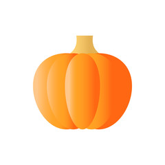 Pumpkin flat vector