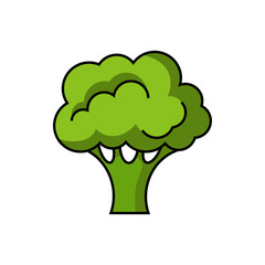 Broccoli flat vector
