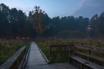 Obraz na płótnie Canvas Dawn in park in Konstancin Jeziorna, Mazowieckie, Poland