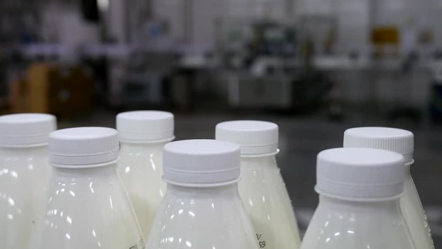 production of milk and dairy products - white bottles on conveyor belt