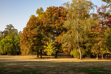 Naklejka premium Wundervolle Herbstansicht mit Alleen,Teich ,Brücke und bunt gefärbten Bäumen und Blättern in Leipzig