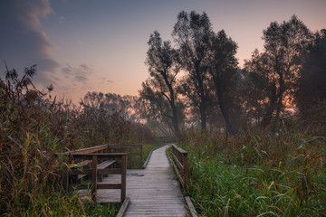 Dawn over the footbridge in park in Konstancin Jeziorna, Mazowieckie, Poland