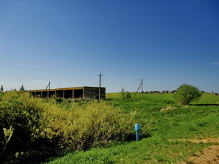 rural landscape with windmill