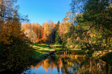 Beautiful autumn sunny landscape in Pavlovsk park with the park pond, red and orange leaves on trees, Pavlovsk, St. Petersburg.
