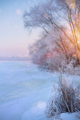 winter Landscape with Frozen lake and snowy trees
