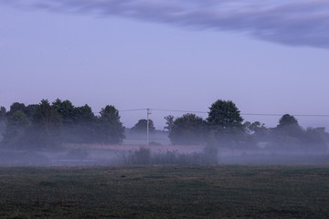 mgła poranna