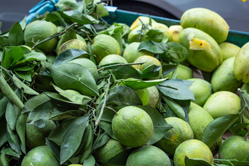 Dragon fruits, lemons and Mangos at Street Food Market