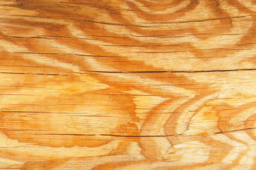 Bright wooden background